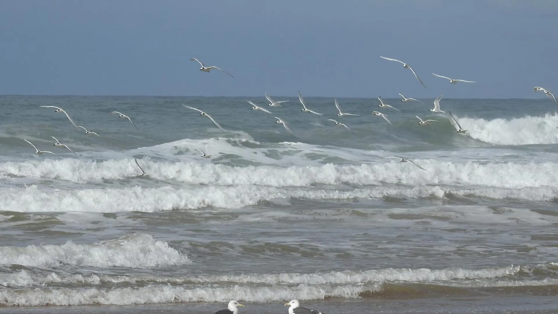 A3 Bel Appartement Vue Mer A 300M De La Plage Agadir