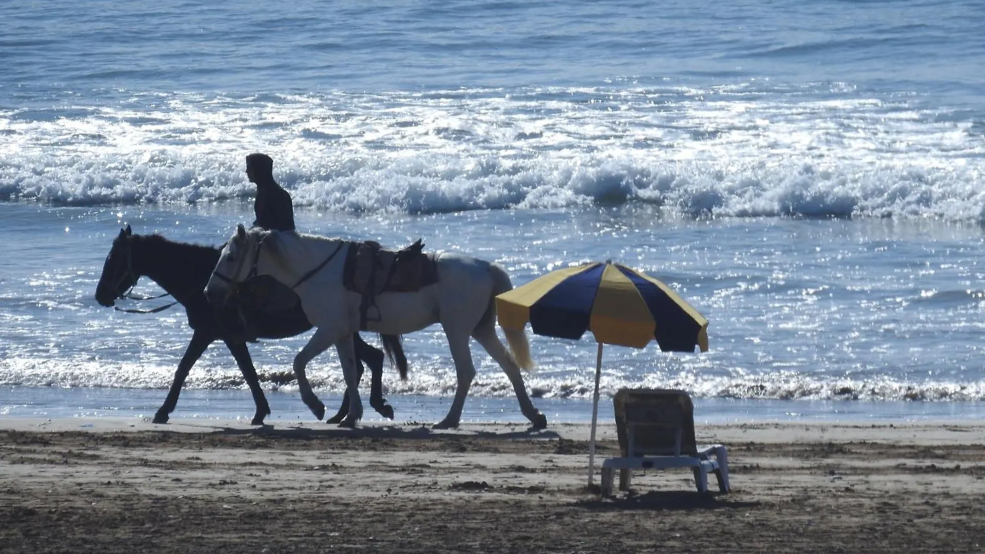 شقة A3 Bel Appartement Vue Mer A 300M De La Plage أغادير المغرب