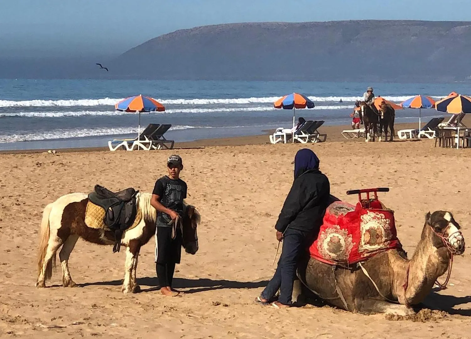 A3 Bel Appartement Vue Mer A 300M De La Plage أغادير